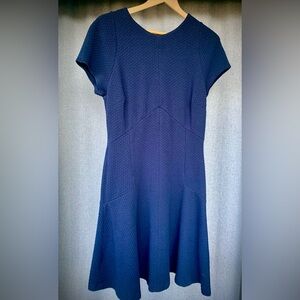 Banana Republic Textured Navy Dress